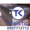 Thớt nhựa PP (Màu xanh) chất lượng cao - giá rẻ